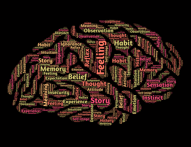 Commentaarstem en wissenknop